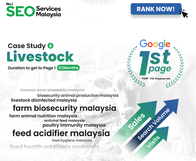 Comprehensive seo Packages in Malaysia to Boost Your Online Presence